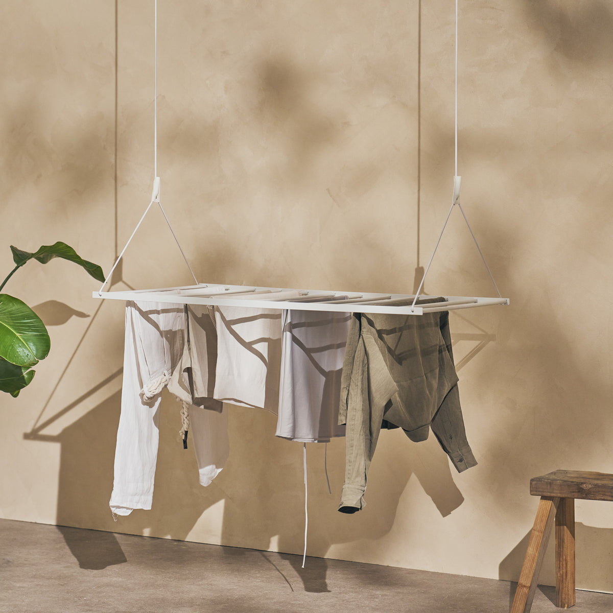 Cavallo d'abbigliamento SWING