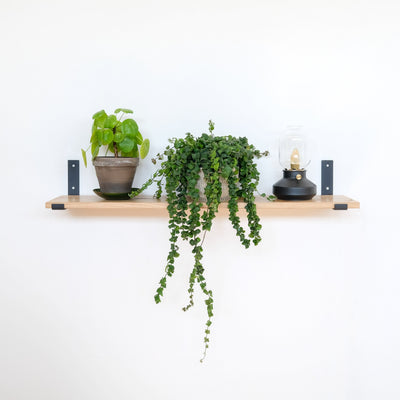 Shelf EICHE